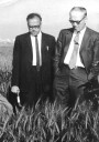 Seeds of change: Remembering MS Swaminathan, the architect of India’s Green Revolution