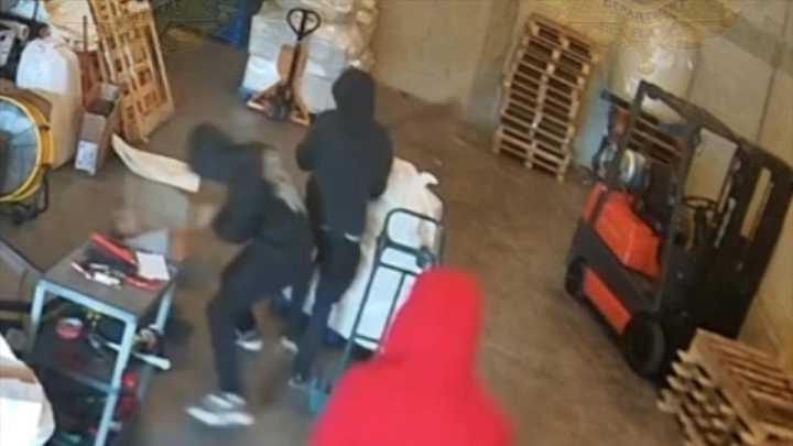 Police seek public’s help amid search for subjects who attacked elderly man in Medley