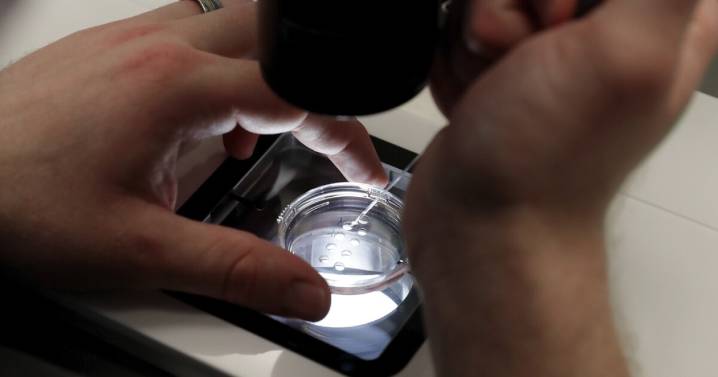 White House unveils deal to reduce cost of fertility treatments