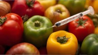 Rajasthan High Court halts import and sale of GM food items until Centre frames regulations