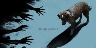 ‘Good Boy’: Does the Dog Die? Ending Explained for Dog POV Horror Movie | Good Boy, Movies 
