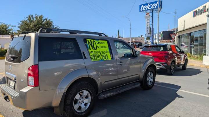 227 establecimientos: esto es lo que hay en San Felipe