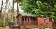 The woodland lodge in Scottish Highlands you can book for autumn retreat
