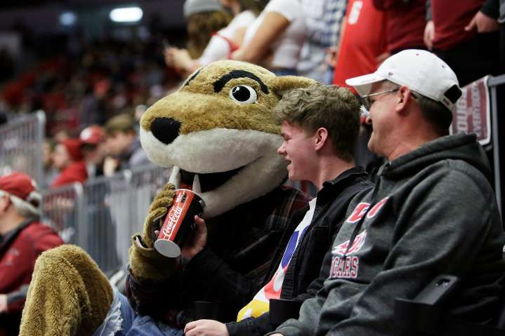 Where to watch WSU Washington State Cougars vs Virginia Cavaliers college football streaming live on demand for free without cable today; TV channel, spread, odds, kickoff time