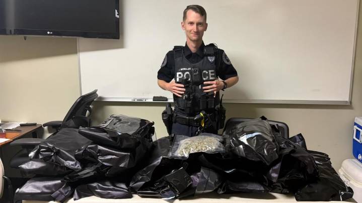 Conway police confiscate 19.5 pounds of marijuana during traffic stop