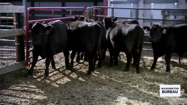 Oklahoma senators comment on President's plan to import more Argentinian beef