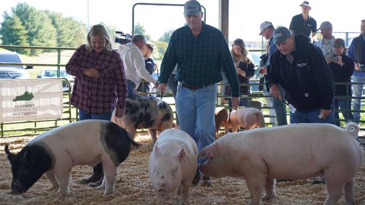 October 'Pork Month' in Kentucky, agriculture commissioner proclaims