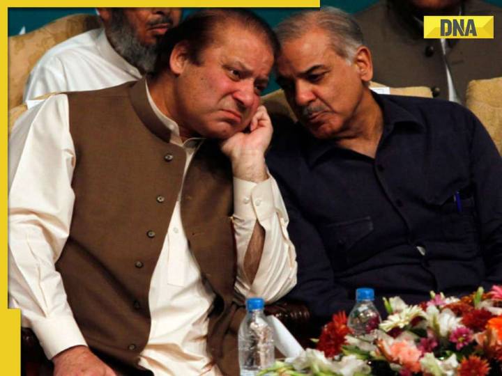 India gives befitting reply to Pakistan in UN: 'Concept of Democracy alien to...