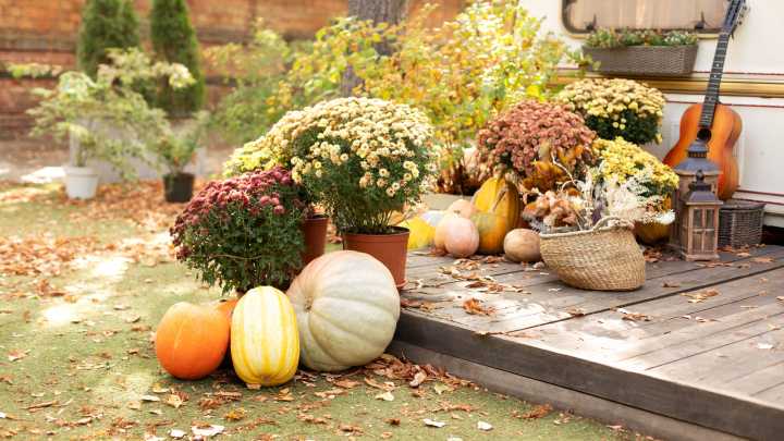 The 18 Best Fall Flowers To Plant In Pots