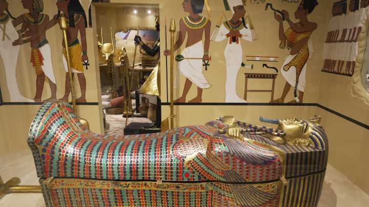 Beachside Brevard building houses massive ancient cultures, dino exhibit