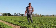 ¿Sembrando Vida es la salvación del campo… o solo una promesa que no llega?