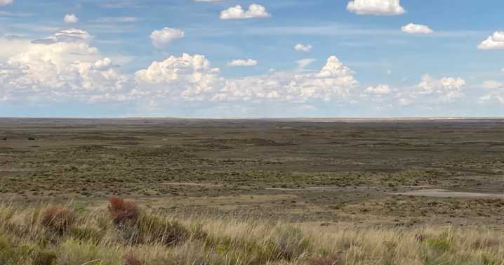 Cheyenne moves to loosen 6-inch weed rule, allow native grasses to grow taller