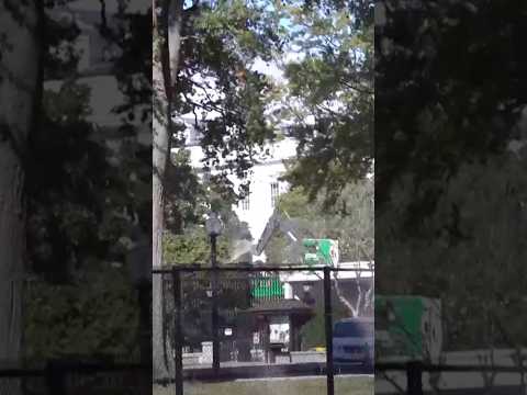 Trump's White House East Wing Demolition Continues