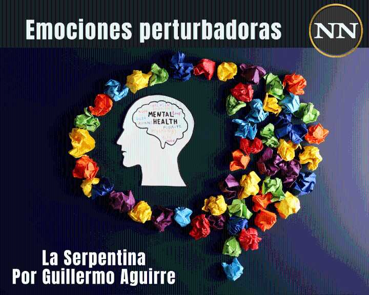Emociones perturbadoras