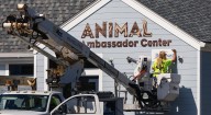 Buttonwood Park Zoo to open new center, introduce new surprise residents