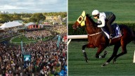 Bruce McAvaney details how The Everest eclipsed the Melbourne Cup in just nine years