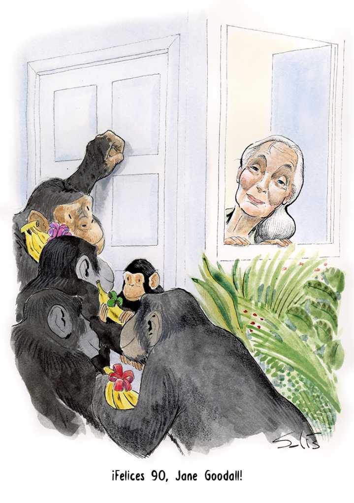 El adiós a Jane Goodall, una aliada esencial del periodismo ambiental. Por Arturo Larena