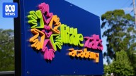 Childcare workers charged after allegedly assaulting toddler at Little Zak's Academy in Western Sydney
