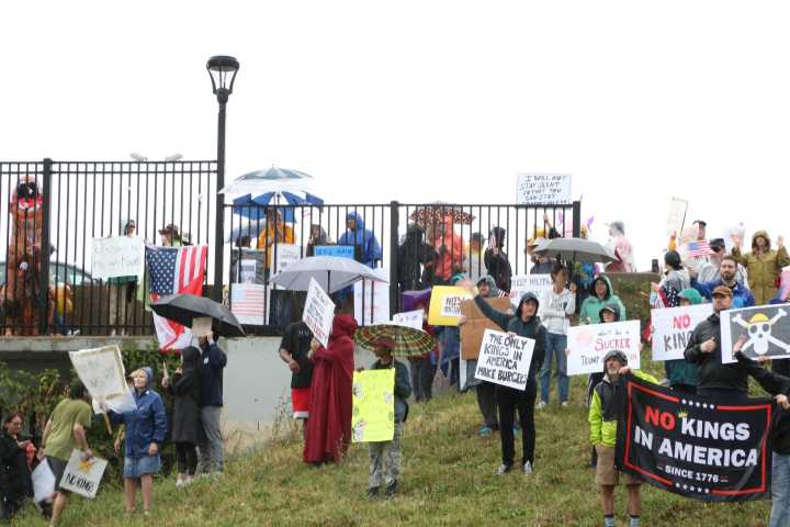 Hundreds attend ‘No Kings’ protest at Tamm Avenue overpass in St. Louis