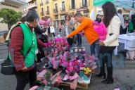 Cada dos días se diagnostica un nuevo caso de cáncer de mama