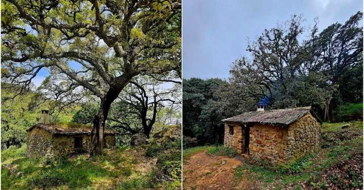 Fue uno de los últimos bastiones republicanos en Málaga y ahora una aldea despoblada con cabañas en las que alojarse donde reina la paz