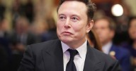 Elon Musk launches his version of Wikipedia