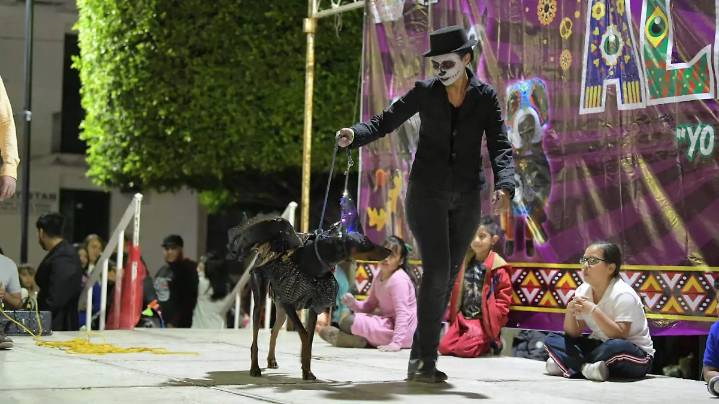 Fiesta de Alebrijes en Puruándiro vibrará con los mejores disfraces perrunos