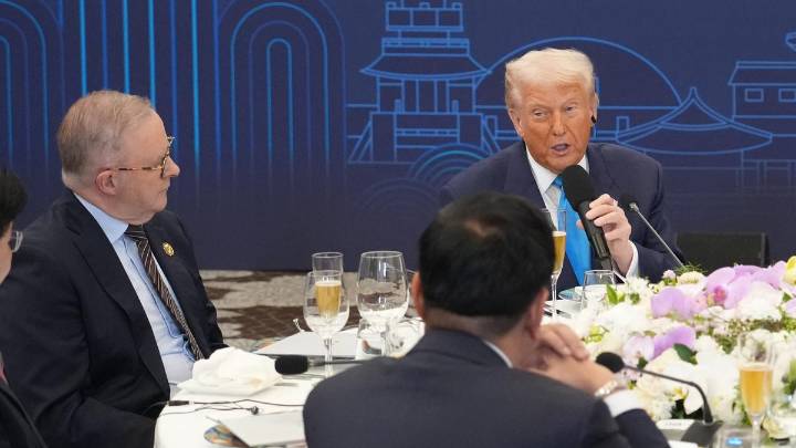 Anthony Albanese sat next to man of the hour at APEC dinner celebrating Donald Trump in South Korea