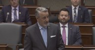 Ont. education minister tables bill to fire trustee Mark Watson