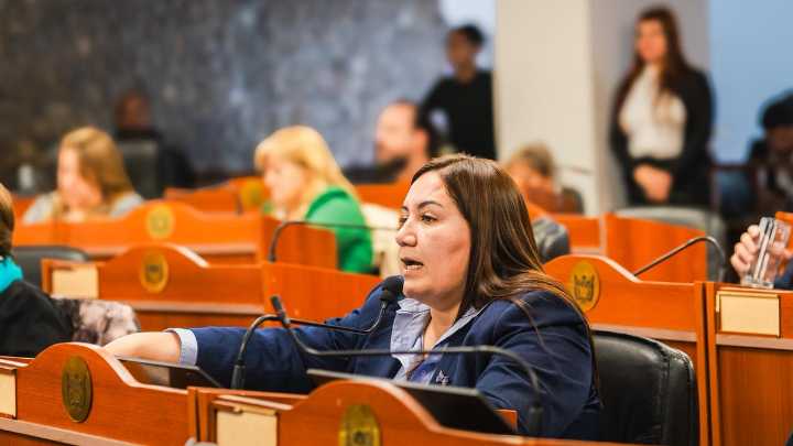 Silvana Carrizo denunció persecución política a empleados públicos y municipales