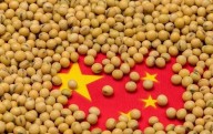 China compró soja estadounidense por 12.600 millones de dólares el año pasado. Ahora, está a 0 dólares