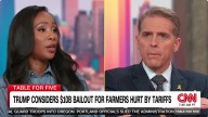 GOP Spin Doctor Goes Into Tailspin Over Trump's Tariff Trouble