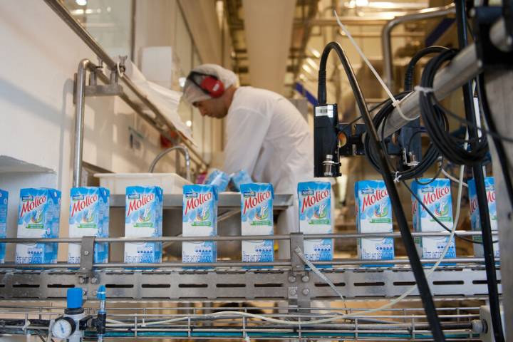 Una fábrica en Irlanda hizo fortuna vendiendo fórmula de bebé a China. Hasta que los chinos dejaron de tener hijos