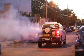 Tráfico de insumos en SSY