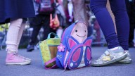 Fact file: No evidence Canadian schools banning pork from lunches