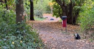 Second Catford stabbing in 5 hours sees man rushed to hospital after attack in park