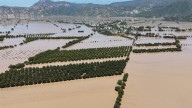 Devastan lluvias 15 mil hectáreas en México