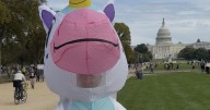 A frog, a lobster and a unicorn walked into a No Kings protest