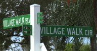 Village Walk residents debate future of nearly 1,000 oak trees amid safety concerns