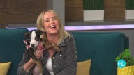 🎃 Two Events, One Pawsome Cause: How You Can Help Houston’s Homeless Pets