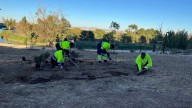 El Bosque de los Zaragozanos sigue creciendo: plantan 370 árboles y 4.100 arbustos en Parque Venecia