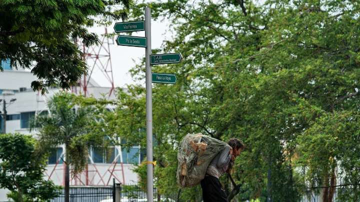 Atienden denuncias por robos de cableado en el centro de Cali; Bienestar Social responde y anuncia medidas