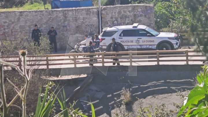 Localizan la Cabeza de una Mujer que Estaba Siendo Devorada por Perros en Puebla