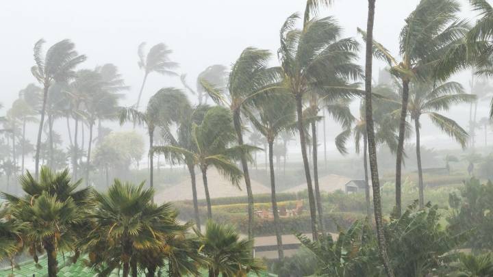Cyclone ‘Montha’ to turn towards southern Odisha after landfall, 60 to 70 kmph winds likely: IMD DG