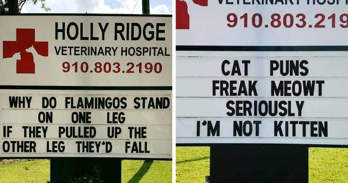 30 Of The Funniest Outdoor Signs From This Vet Hospital To Make You Crack A Smile