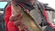 Upper Red Lake Winter Walleye Limit Lowered to 4 for 2025