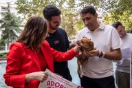 La ciudad celebra la primera Feria de Adopción de Mascotas