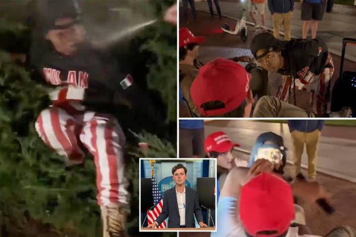 Woman caught on camera allegedly lunging at MAGA activist in viral confrontation