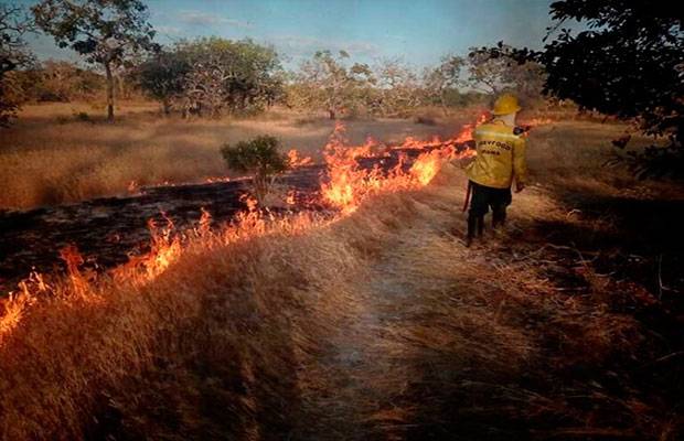 Brigadas indígenas combaten los incendios en Brasil con tecnología y saber ancestral