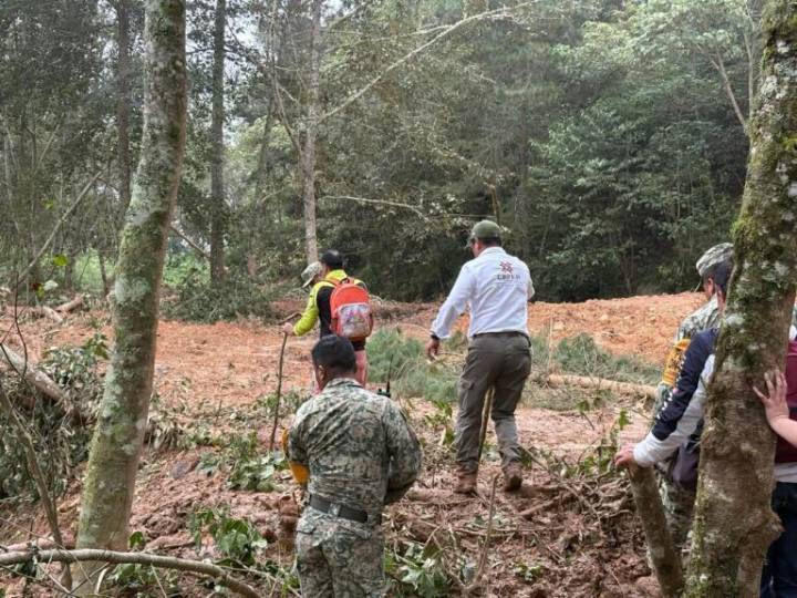 Localizan con vida a dos personas que estaban desaparecidas tras las lluvias en Tenango